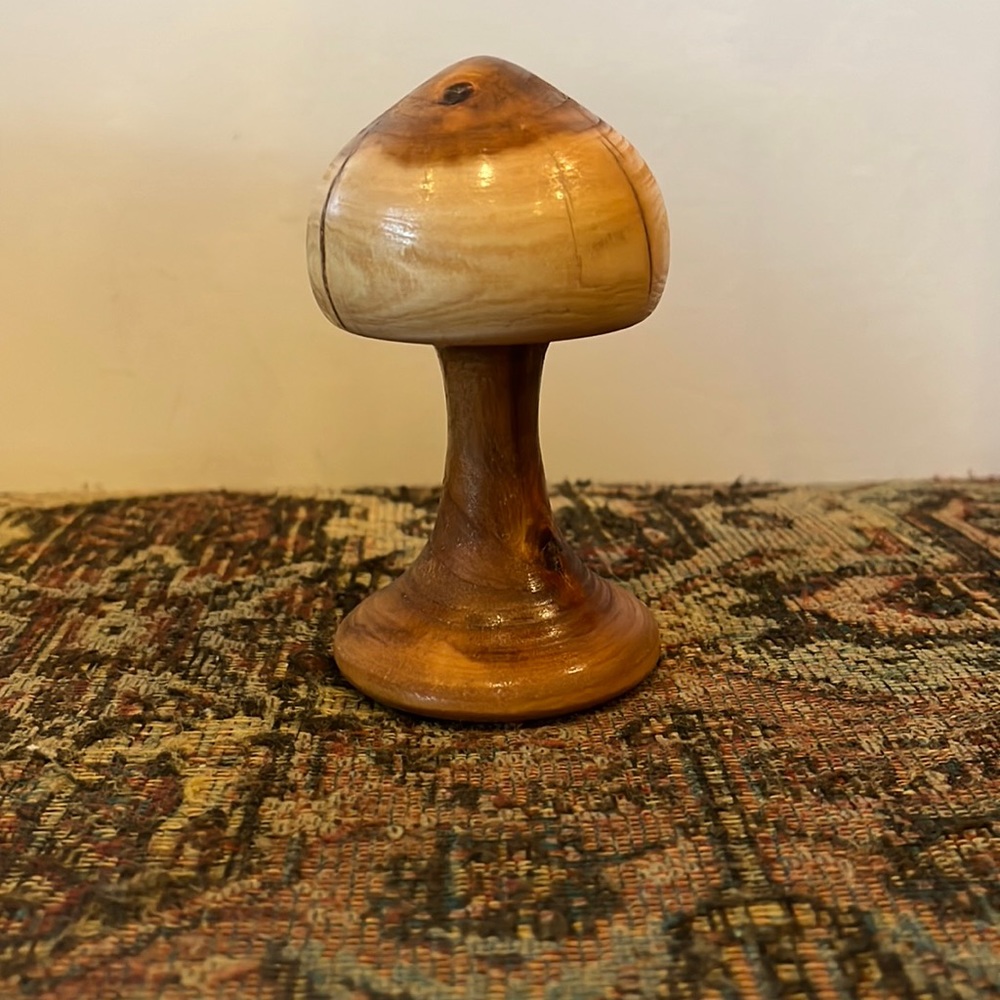 Cherry Mushroom